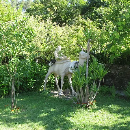 Quinta Vinha