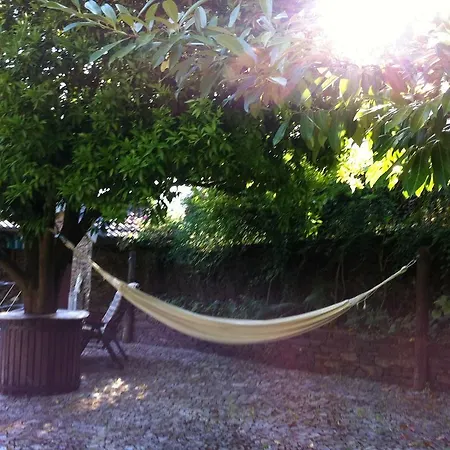 Quinta Vinha Holiday home *
