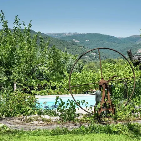 Holiday home Quinta Vinha Parada de Ester